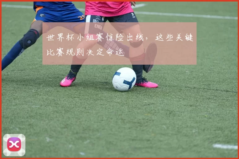 世界杯小组赛惊险出线,这些关键比赛规则决定命运