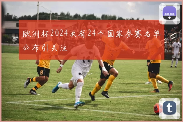欧洲杯2024共有24个国家参赛名单公布引关注