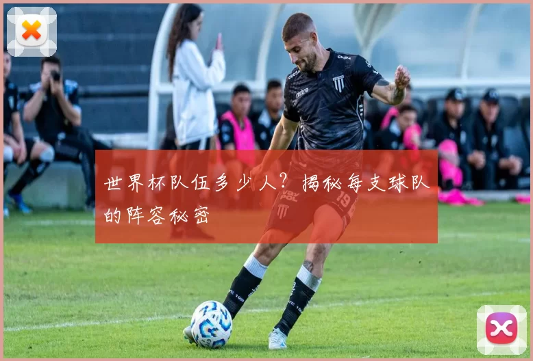 世界杯队伍多少人？揭秘每支球队的阵容秘密