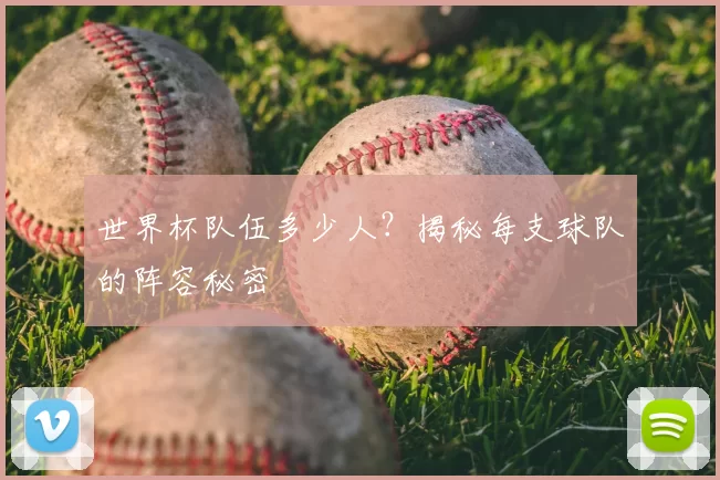 世界杯队伍多少人?揭秘每支球队的阵容秘密