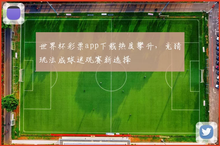 世界杯彩票app下载热度攀升,竞猜玩法成球迷观赛新选择