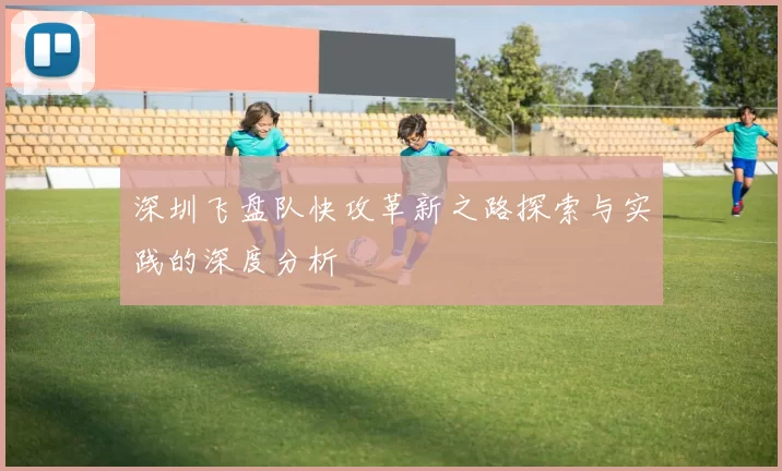 深圳飞盘队快攻革新之路探索与实践的深度分析