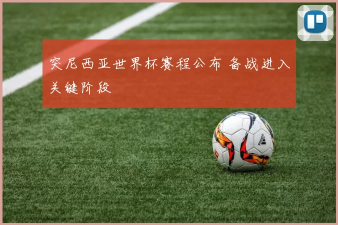 突尼西亚世界杯赛程公布 备战进入关键阶段