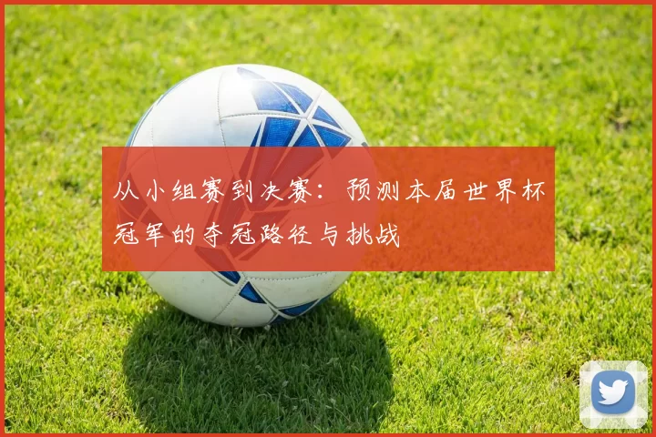 从小组赛到决赛:预测本届世界杯冠军的夺冠路径与挑战