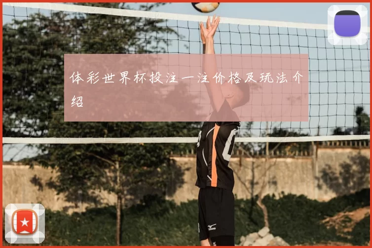 体彩世界杯投注一注价格及玩法介绍
