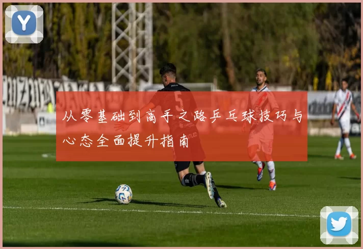 从零基础到高手之路乒乓球技巧与心态全面提升指南