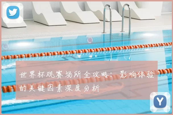 世界杯观赛场所全攻略：影响体验的关键因素深度分析