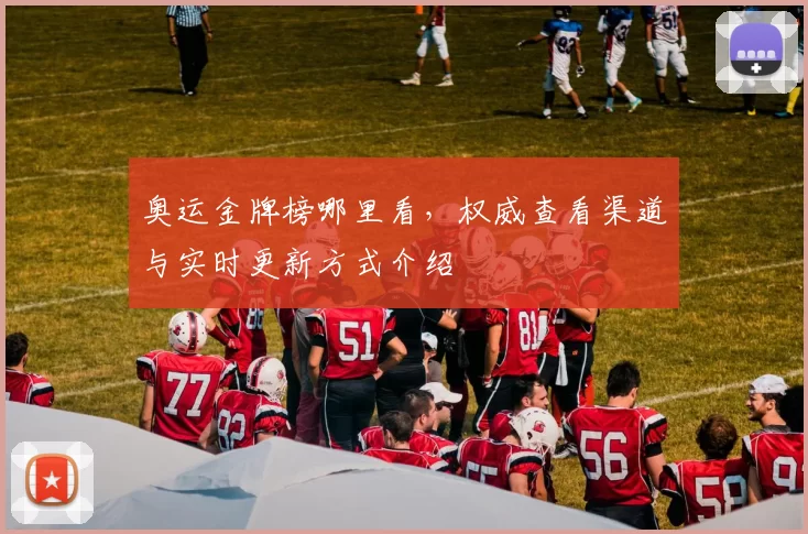 奥运金牌榜哪里看,权威查看渠道与实时更新方式介绍
