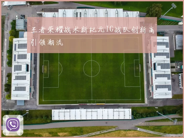 王者荣耀战术新纪元IG战队创新高引领潮流
