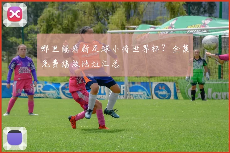 哪里能看新足球小将世界杯？全集免费播放地址汇总