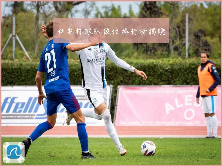 世界杯球队段位排行榜揭晓