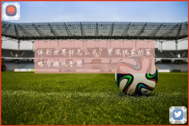 体彩世界杯怎么买?资深玩家的策略与避坑手册