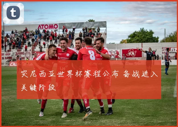 突尼西亚世界杯赛程公布 备战进入关键阶段